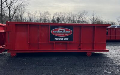 Signs That You Need A Dumpster Rental